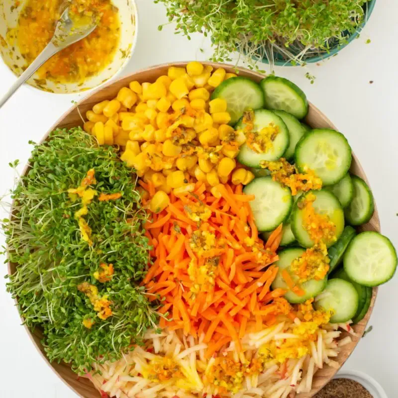 alfalfa sprout salad from overhead