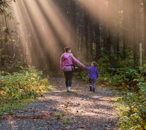 Woman and a child walking down a forest path and holding hands.