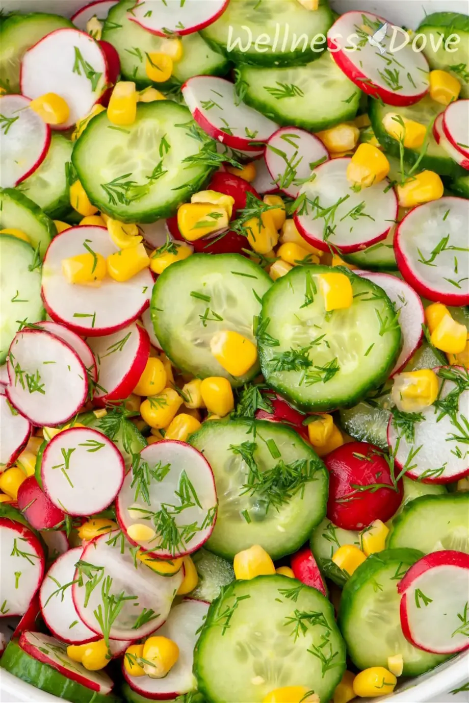 a very close up photo of the Fresh Cucumber Summer Vegan Salad
