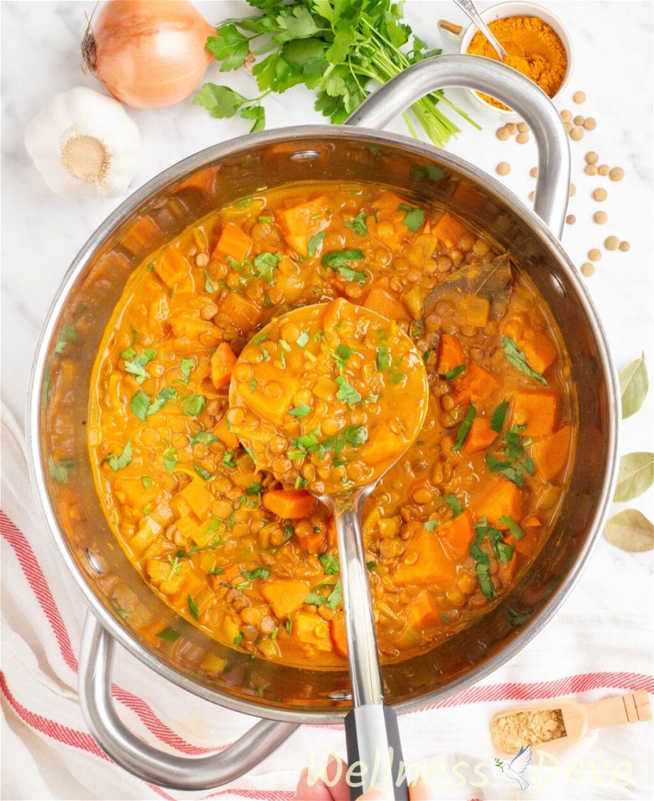 overhead view of the  Wholesome Sweet Potato Lentil Vegan Curry in a large pot