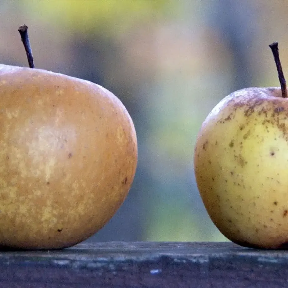 two apples on a board