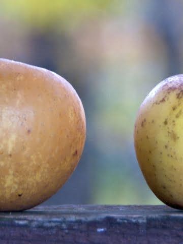 two apples on a board