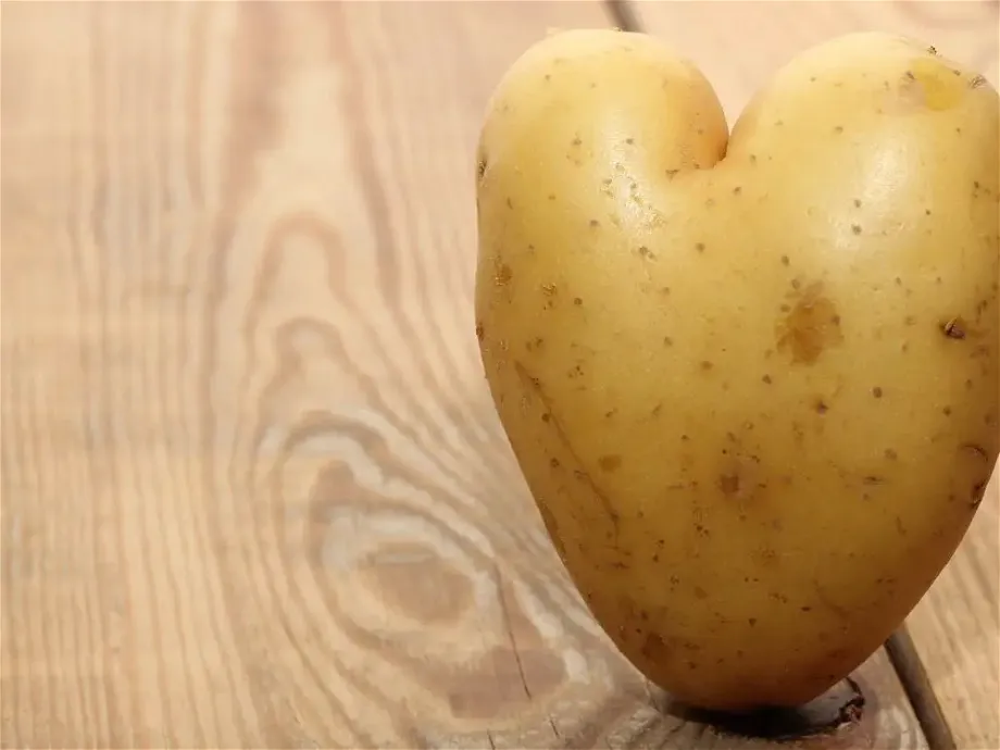 front shot of heart shaped potato