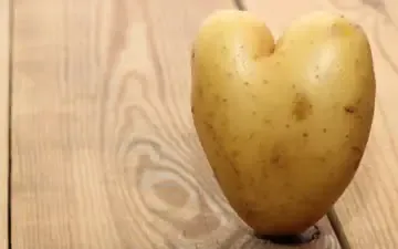 front shot of heart shaped potato