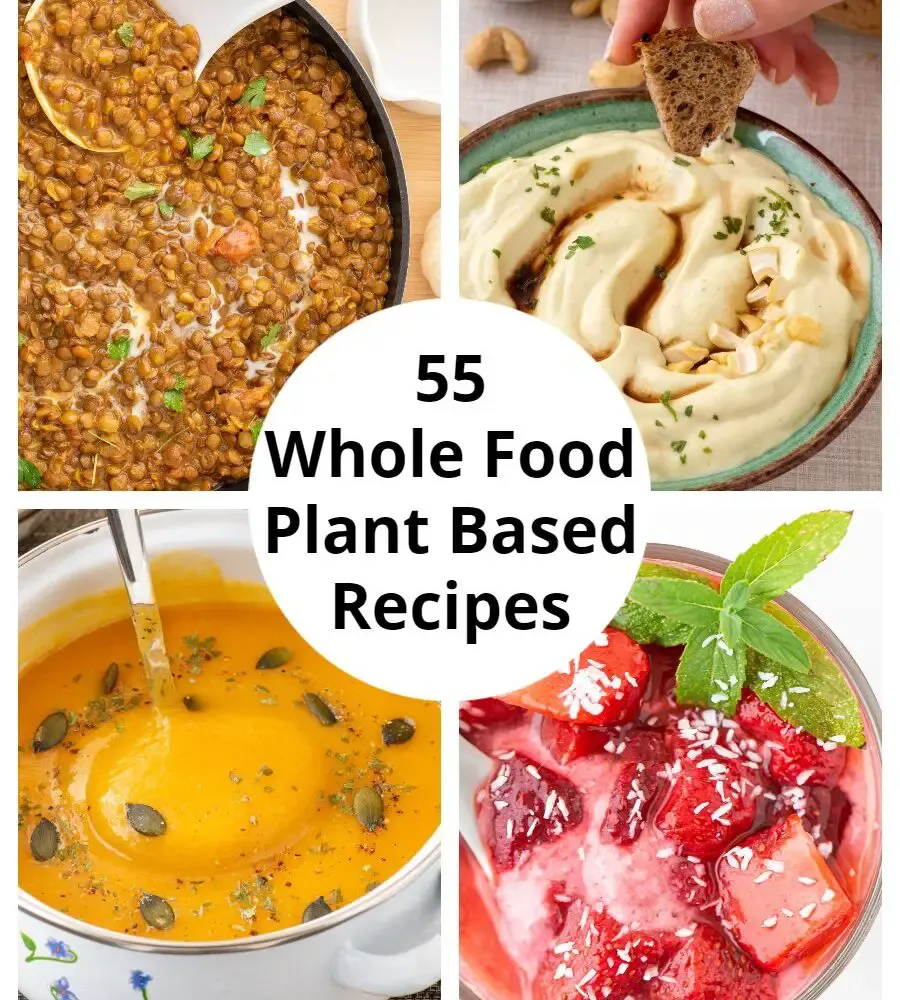 55 WFPB Recipes Collage