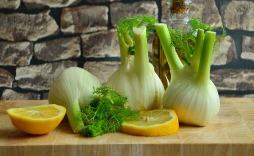 fennel