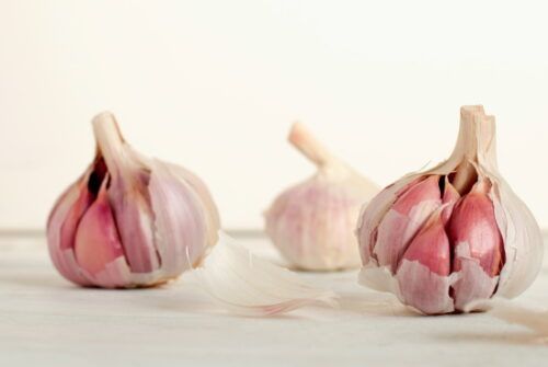 garlic