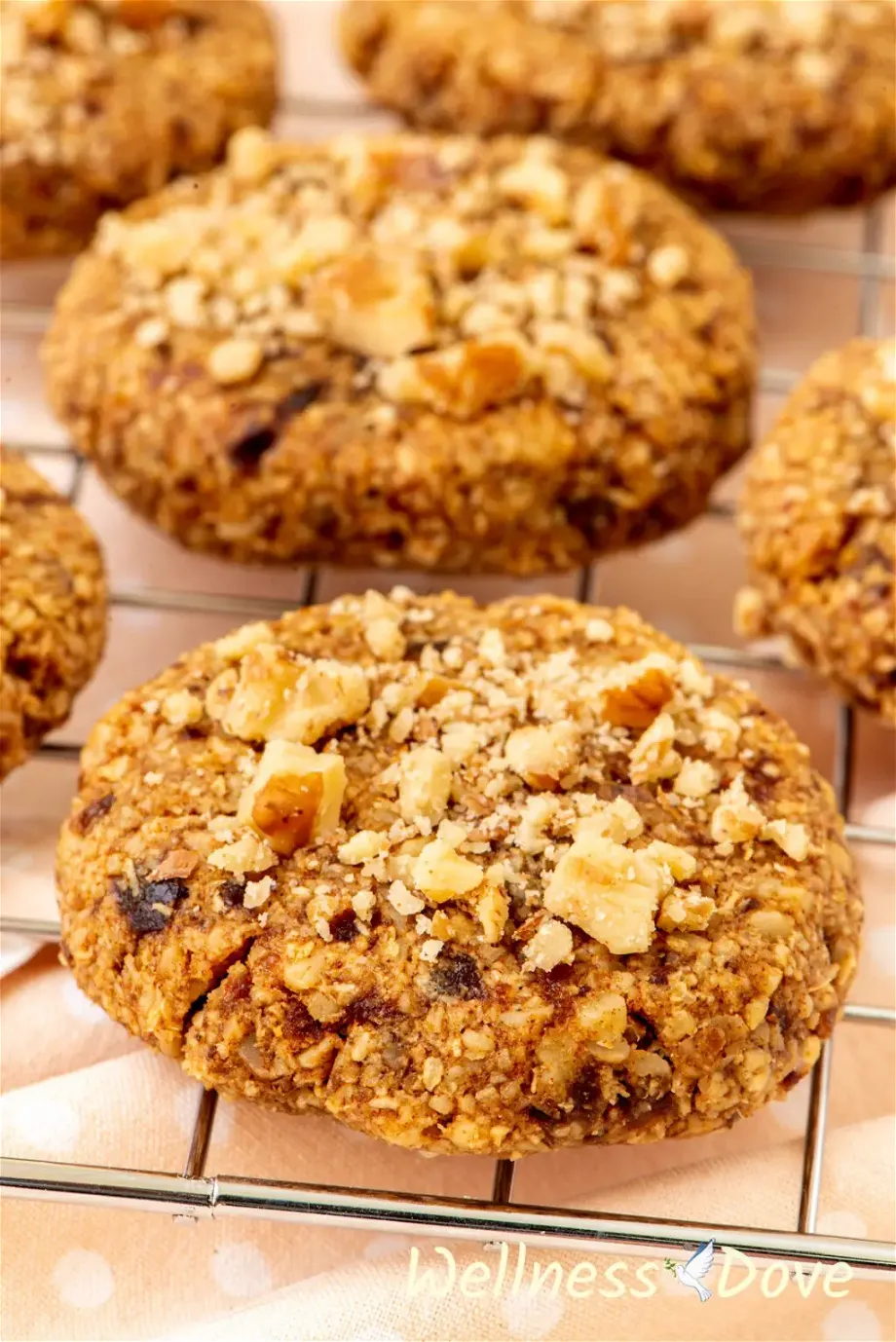 one Easy Oatmeal Walnut Vegan Cookie, macro photo