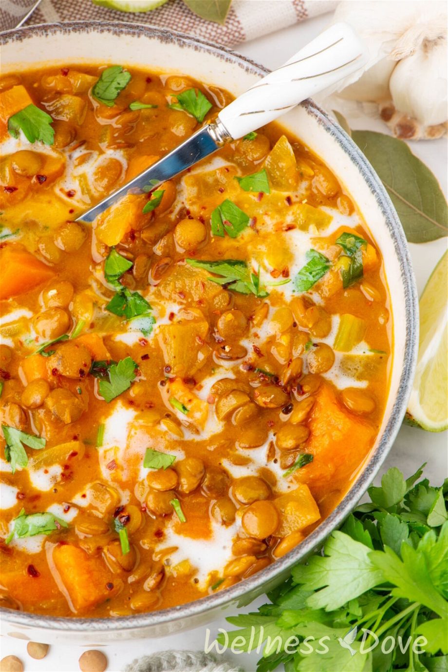 a very macro photo of the Wholesome Sweet Potato Lentil Vegan Curry