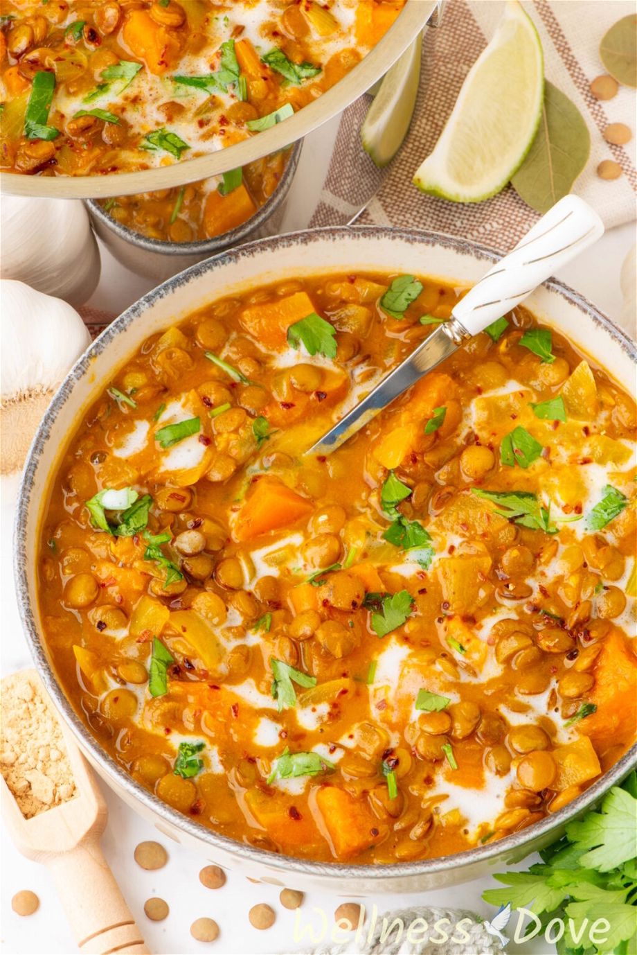 the Wholesome Sweet Potato Lentil Vegan Curry in a bowl, photographed at a 3/4 angle