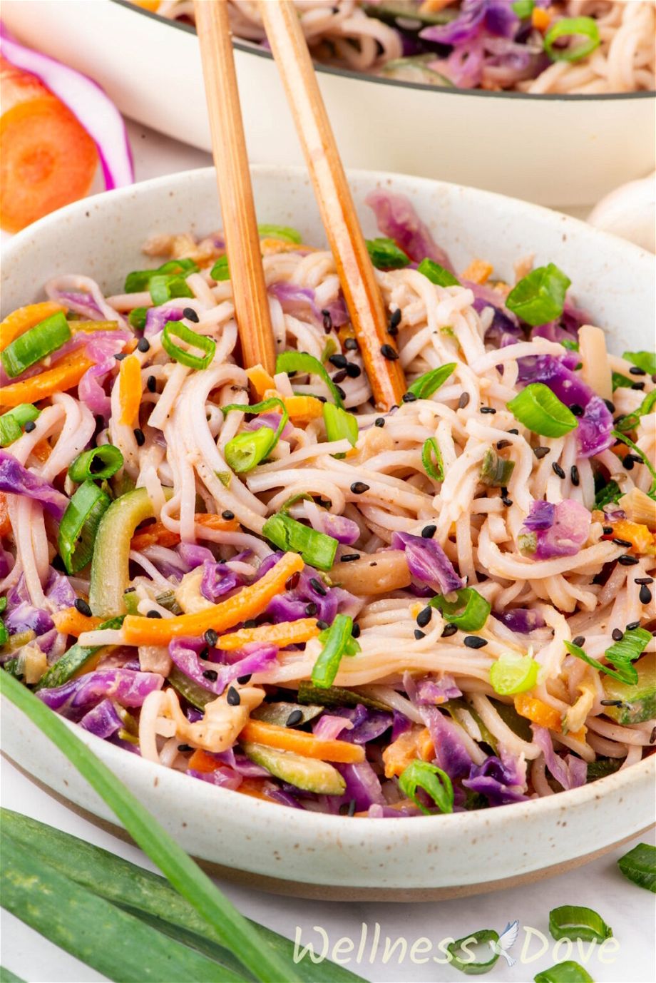 close up photo fo the Quick and Easy Vegan Stir Fry Noodles in a small plate